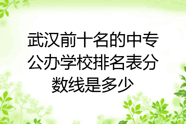 武汉前十名的中专公办学校排名表分数线是多少