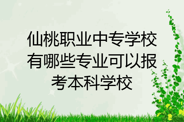 仙桃职业中专学校有哪些专业可以报考本科学校