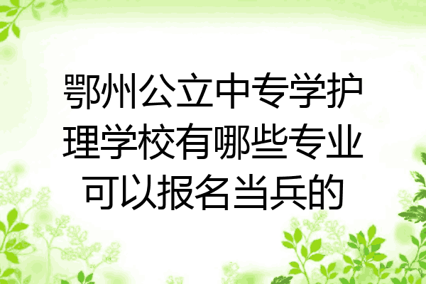鄂州公立中专学护理学校有哪些专业可以报名当兵的