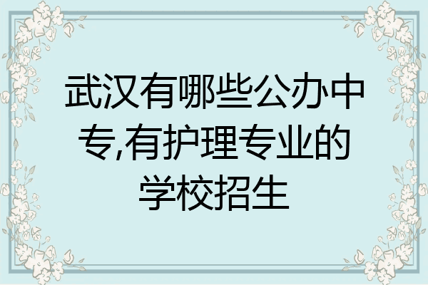 武汉有哪些公办中专,有护理专业的学校招生