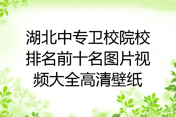 湖北中专卫校院校排名前十名图片视频大全高清壁纸