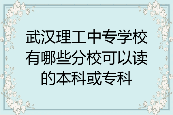 武汉理工中专学校有哪些分校可以读的本科或专科
