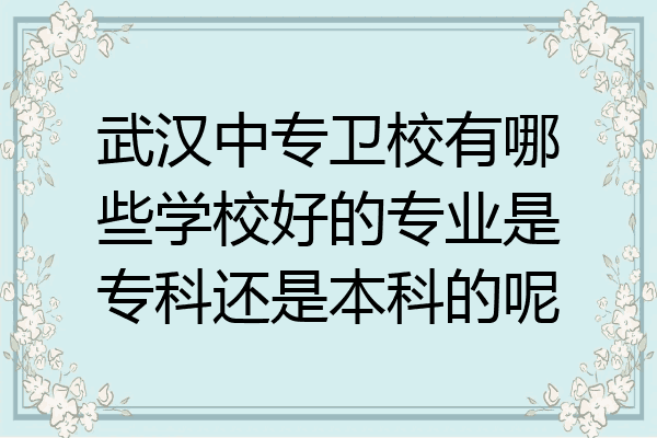 武汉中专卫校有哪些学校好的专业是专科还是本科的呢