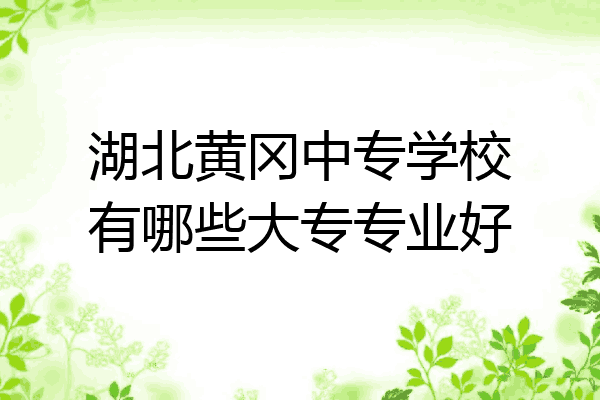 湖北黄冈中专学校有哪些大专专业好