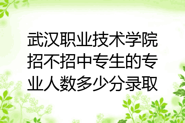 武汉职业技术学院招不招中专生的专业人数多少分录取