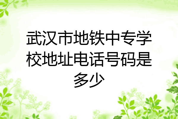 武汉市地铁中专学校地址电话号码是多少