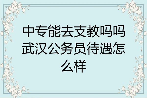 中专能去支教吗吗武汉公务员待遇怎么样