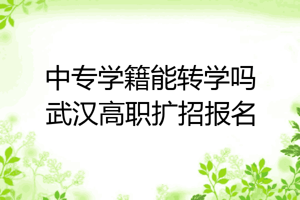 中专学籍能转学吗武汉高职扩招报名