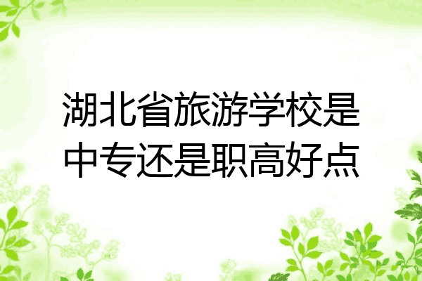 湖北省旅游学校是中专还是职高好点