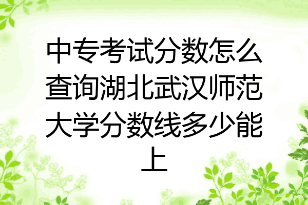 中专考试分数怎么查询湖北武汉师范大学分数线多少能上