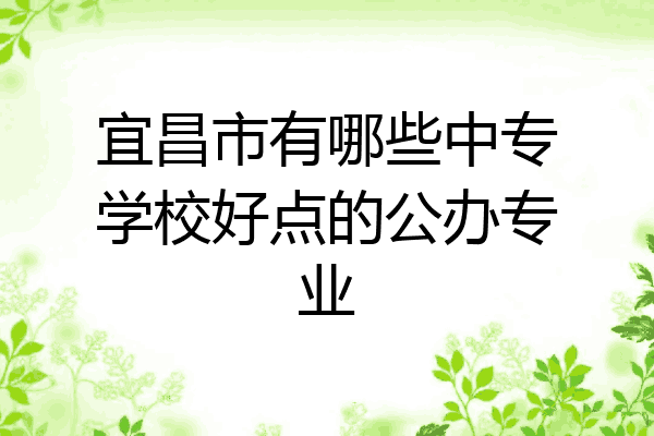 宜昌市有哪些中专学校好点的公办专业