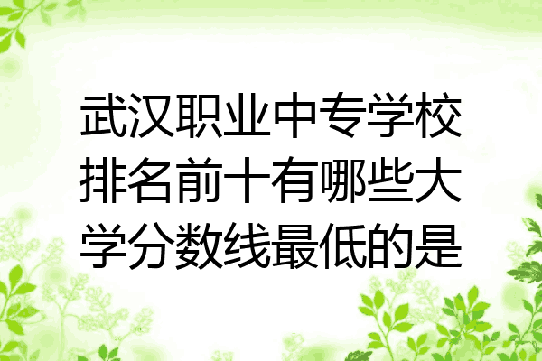 武汉职业中专学校排名前十有哪些大学分数线最低的是