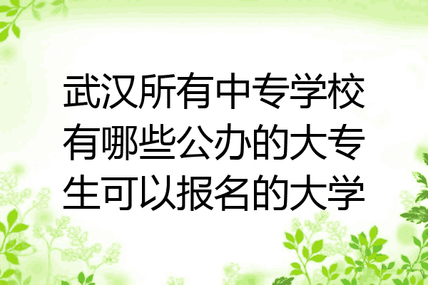 武汉所有中专学校有哪些公办的大专生可以报名的大学