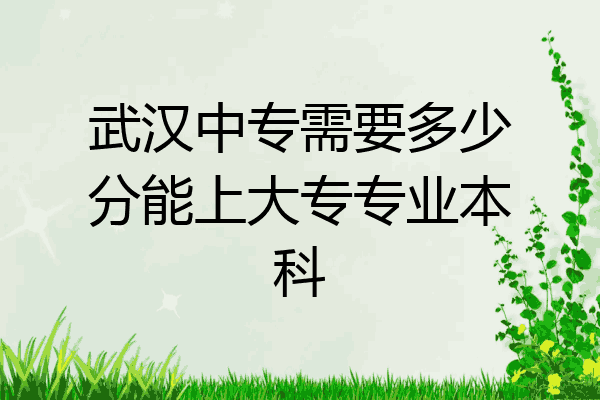 武汉中专需要多少分能上大专专业本科