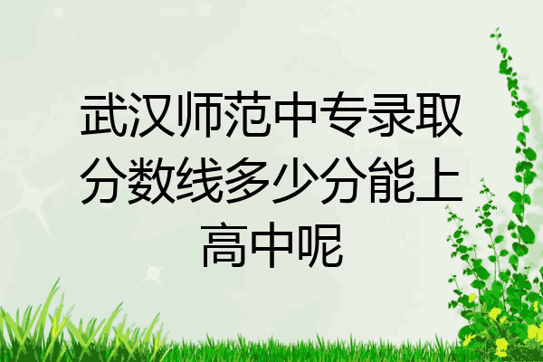 武汉师范中专录取分数线多少分能上高中呢
