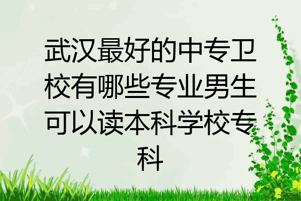 武汉最好的中专卫校有哪些专业男生可以读本科学校专科