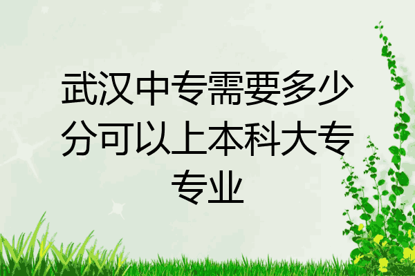 武汉中专需要多少分可以上本科大专专业