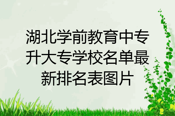 湖北学前教育中专升大专学校名单最新排名表图片