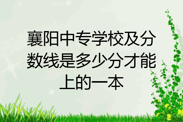 襄阳中专学校及分数线是多少分才能上的一本
