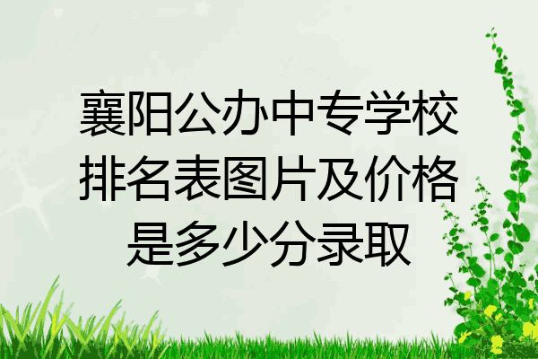 襄阳公办中专学校排名表图片及价格是多少分录取