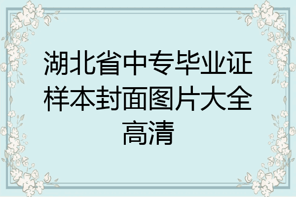 湖北省中专毕业证样本封面图片大全高清
