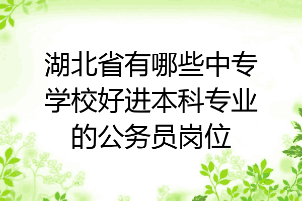 湖北省有哪些中专学校好进本科专业的公务员岗位