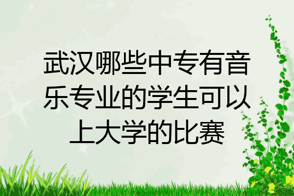 武汉哪些中专有音乐专业的学生可以上大学的比赛