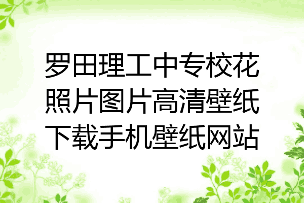 罗田理工中专校花照片图片高清壁纸下载手机壁纸网站