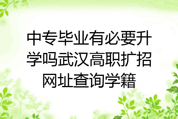 中专毕业有必要升学吗武汉高职扩招网址查询学籍