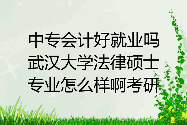 中专会计好就业吗武汉大学法律硕士专业怎么样啊考研