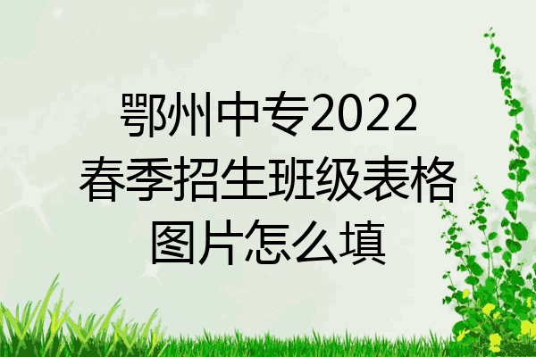 鄂州中专2022春季招生班级表格图片怎么填