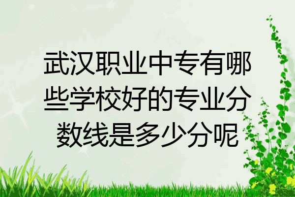 武汉职业中专有哪些学校好的专业分数线是多少分呢