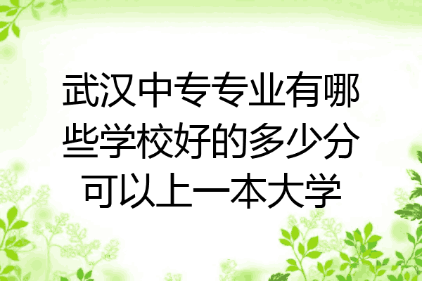 武汉中专专业有哪些学校好的多少分可以上一本大学