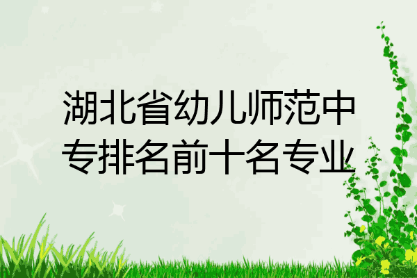 湖北省幼儿师范中专排名前十名专业
