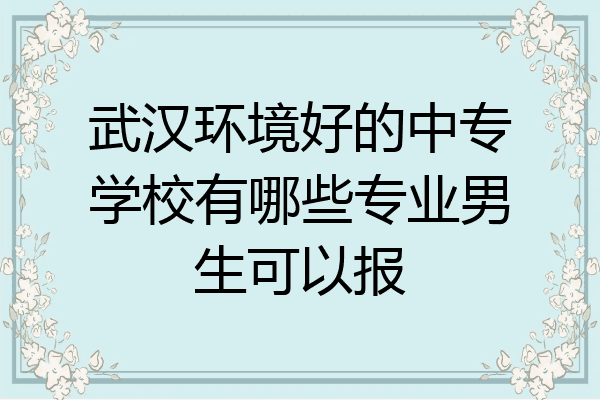 武汉环境好的中专学校有哪些专业男生可以报