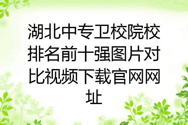 湖北中专卫校院校排名前十强图片对比视频下载官网网址