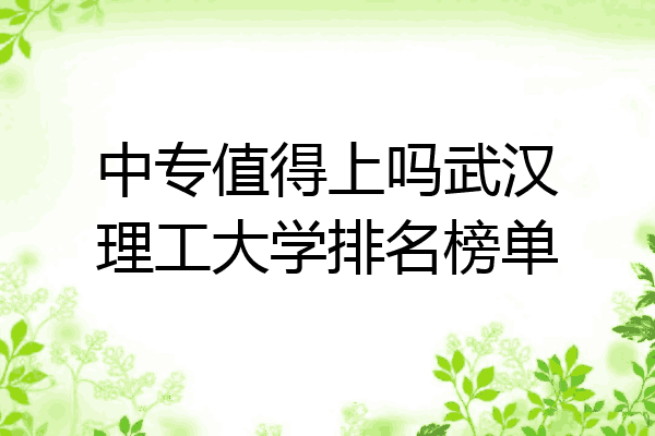 中专值得上吗武汉理工大学排名榜单