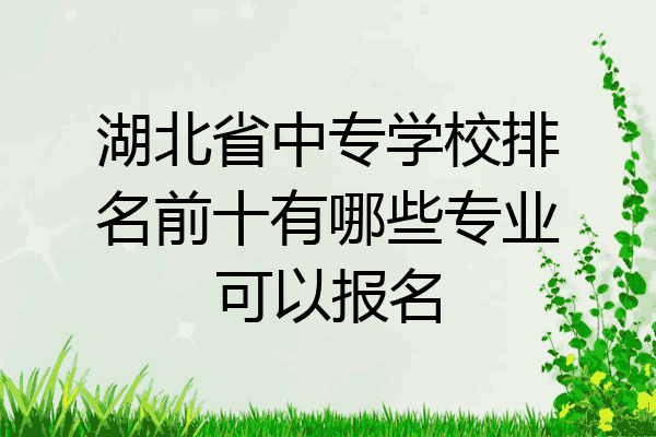 湖北省中专学校排名前十有哪些专业可以报名