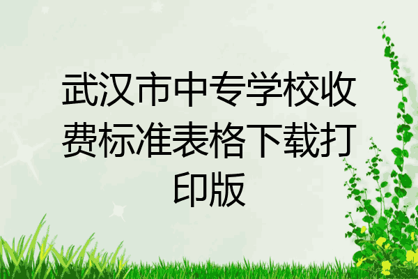 武汉市中专学校收费标准表格下载打印版