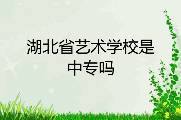 湖北省艺术学校是中专吗