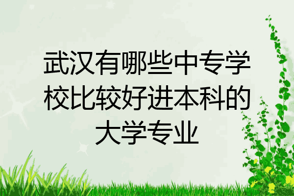 武汉有哪些中专学校比较好进本科的大学专业