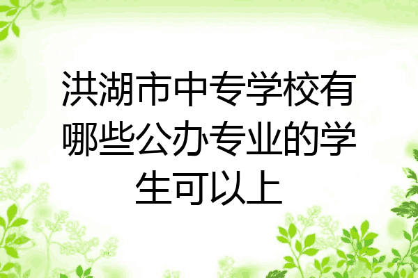 洪湖市中专学校有哪些公办专业的学生可以上