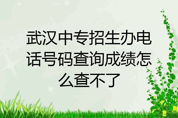 武汉中专招生办电话号码查询成绩怎么查不了