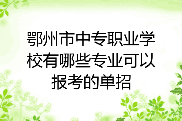 鄂州市中专职业学校有哪些专业可以报考的单招