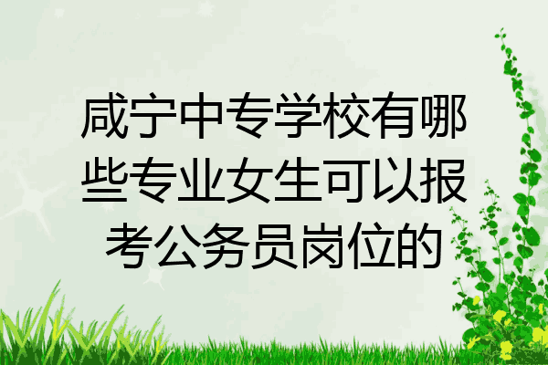 咸宁中专学校有哪些专业女生可以报考公务员岗位的
