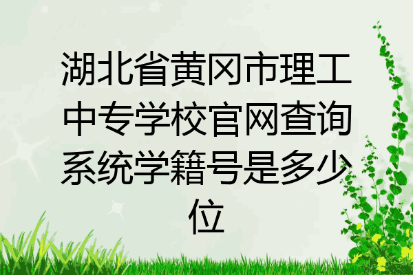 湖北省黄冈市理工中专学校官网查询系统学籍号是多少位