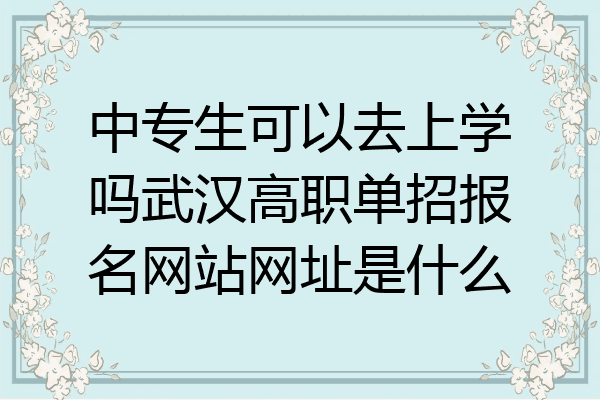 中专生可以去上学吗武汉高职单招报名网站网址是什么