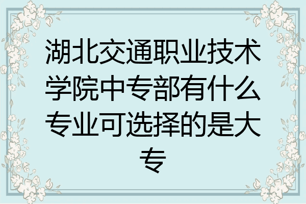湖北交通职业技术学院中专部有什么专业可选择的是大专