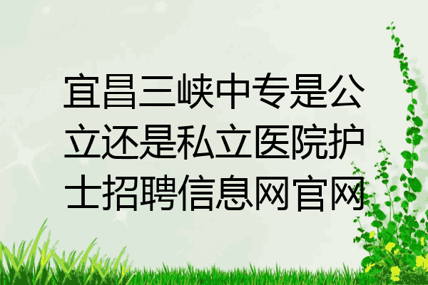 宜昌三峡中专是公立还是私立医院护士招聘信息网官网