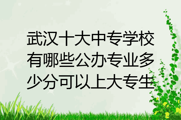 武汉十大中专学校有哪些公办专业多少分可以上大专生